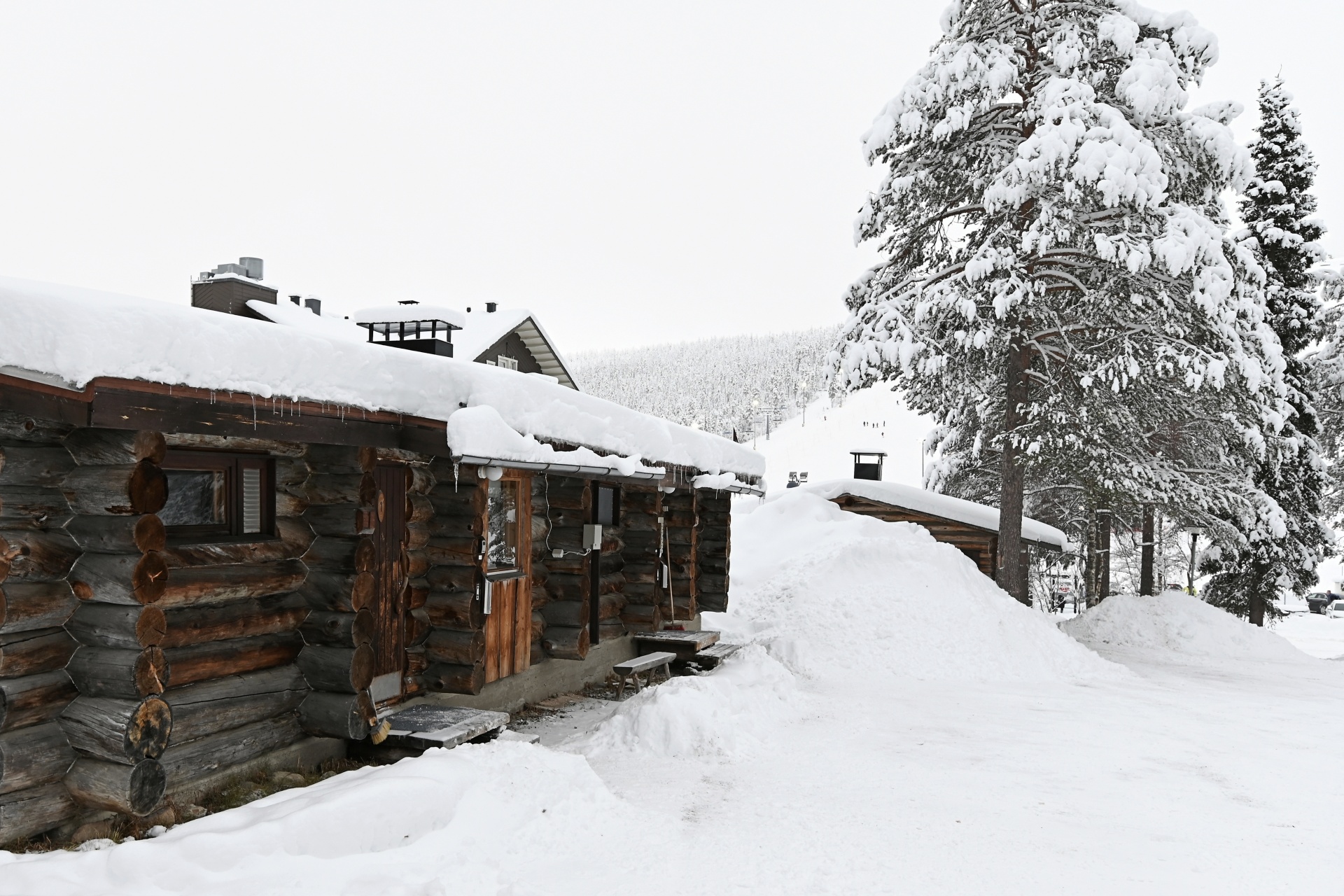 Classic Log cabins